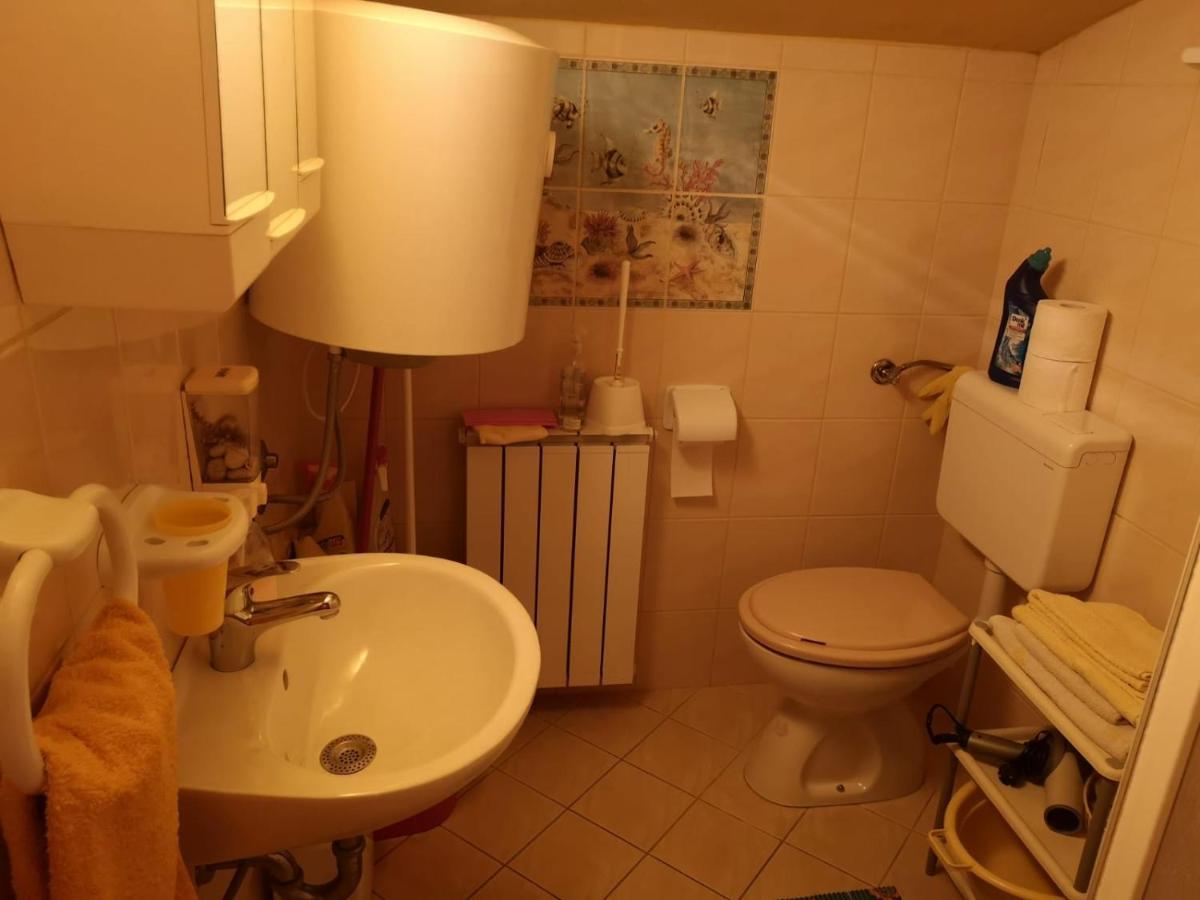 Apartment Samanta Šišan Zewnętrze zdjęcie