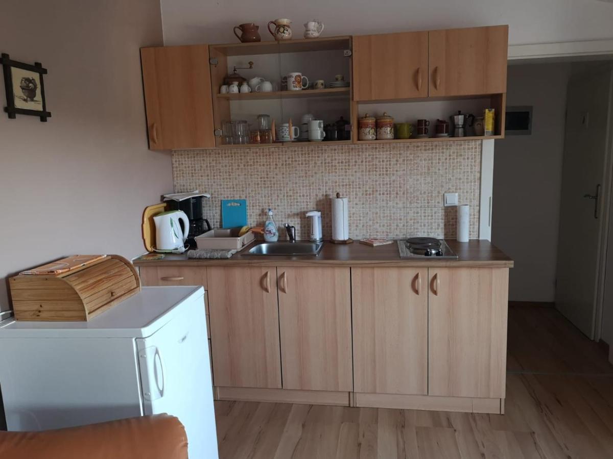 Apartment Samanta Šišan Zewnętrze zdjęcie