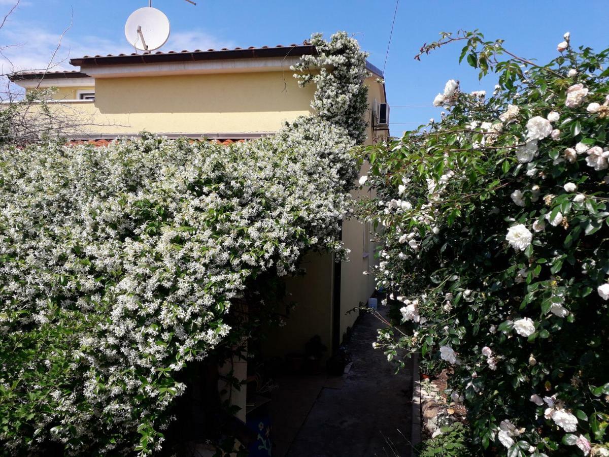Apartment Samanta Šišan Zewnętrze zdjęcie